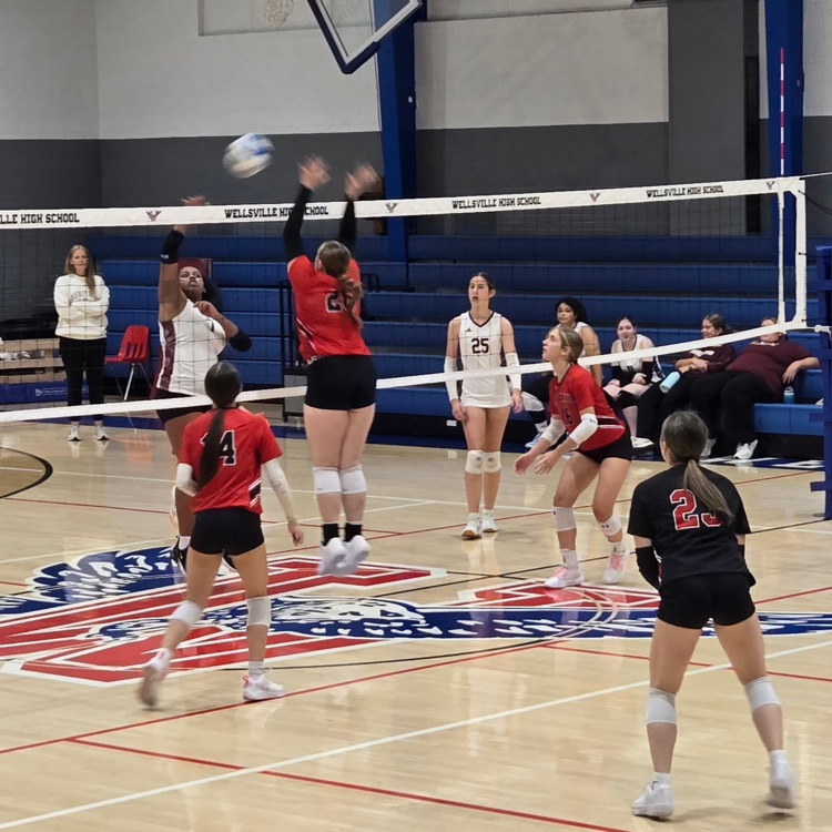 Volleyball