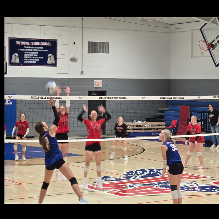 Volleyball