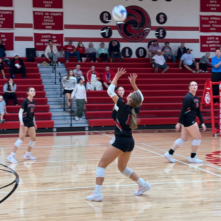 Volleyball