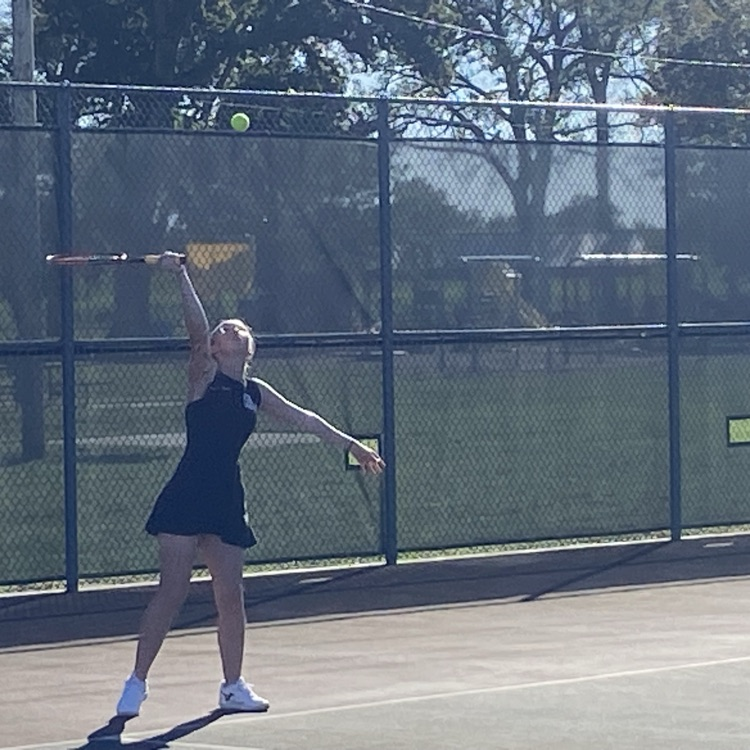 🎾