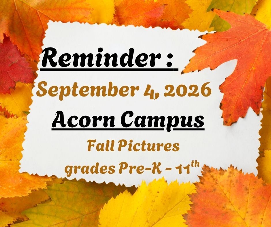 Acorn