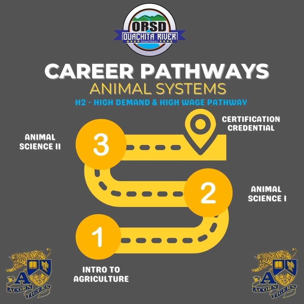 ORSD Pathway - Animal Systems