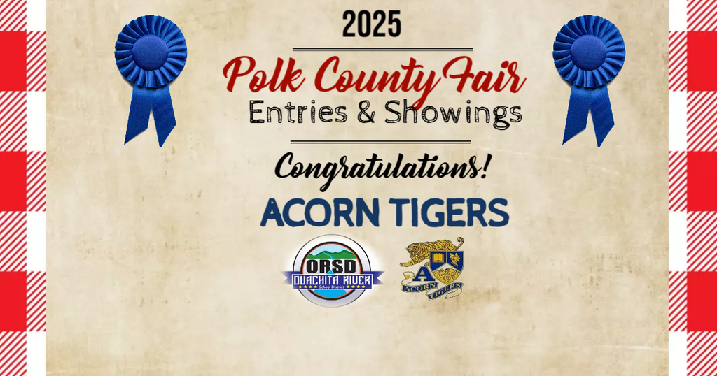 Polk County Fair 2025