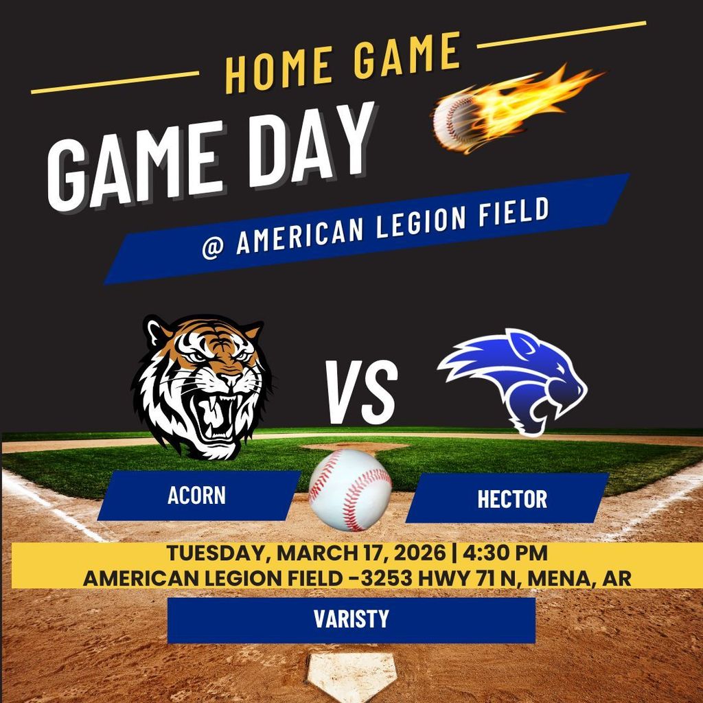 Acorn Home Baseball Game