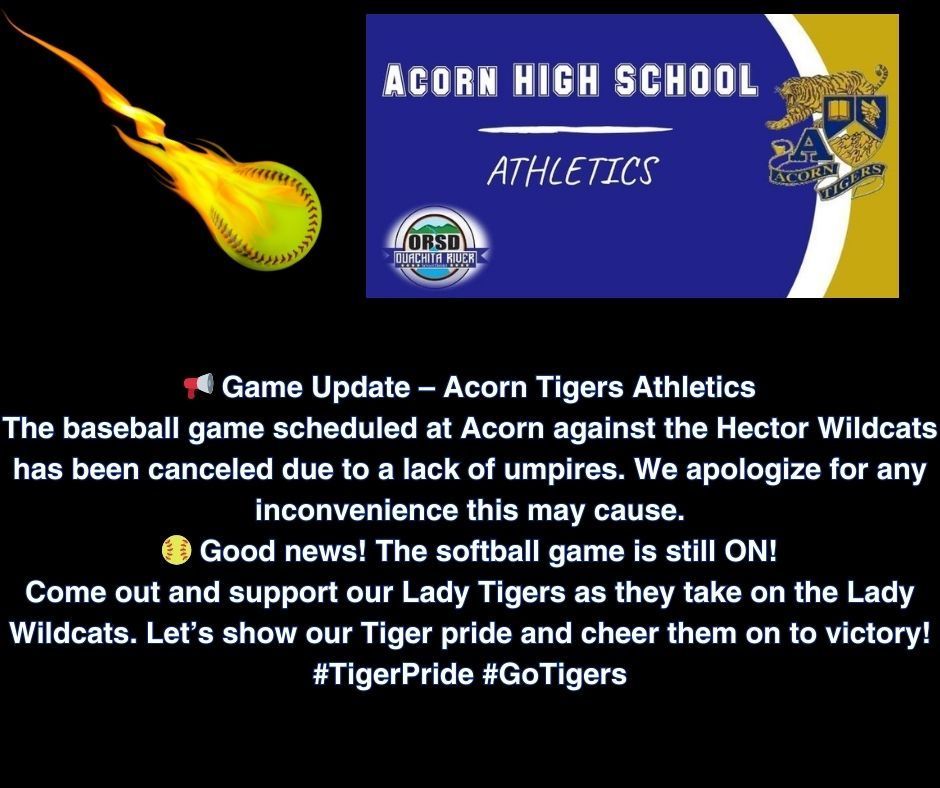 Acorn Home Baseball Game