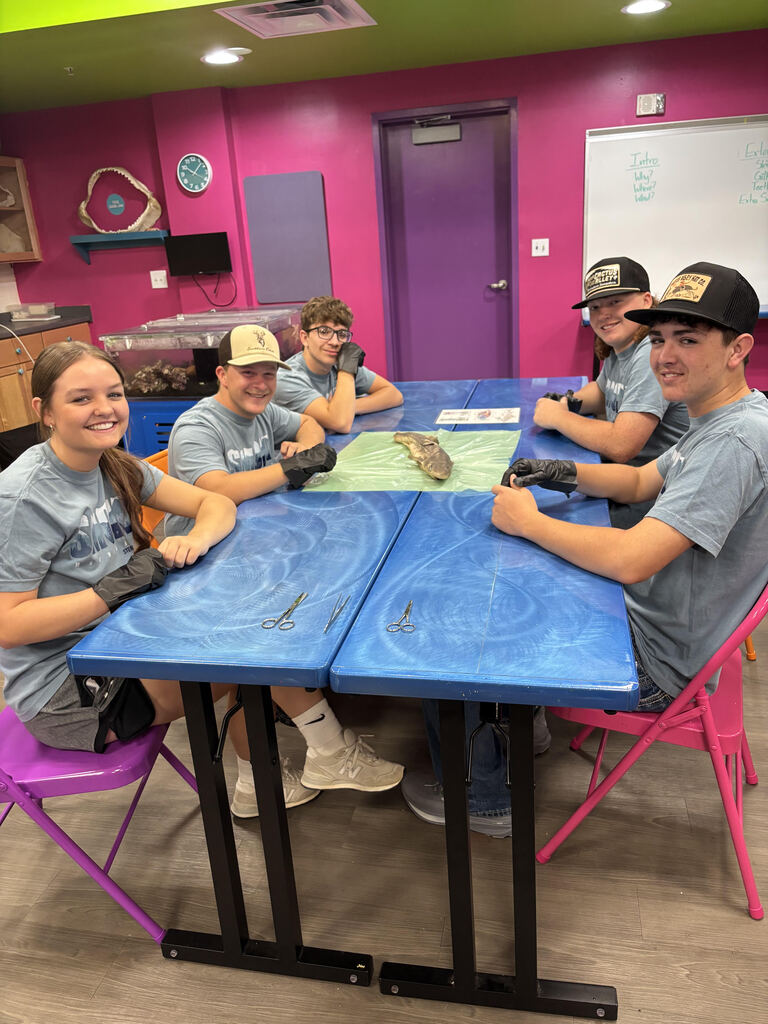 AHS Rising Juniors STEM CAMP 2026