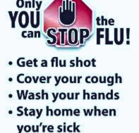 stop the flu