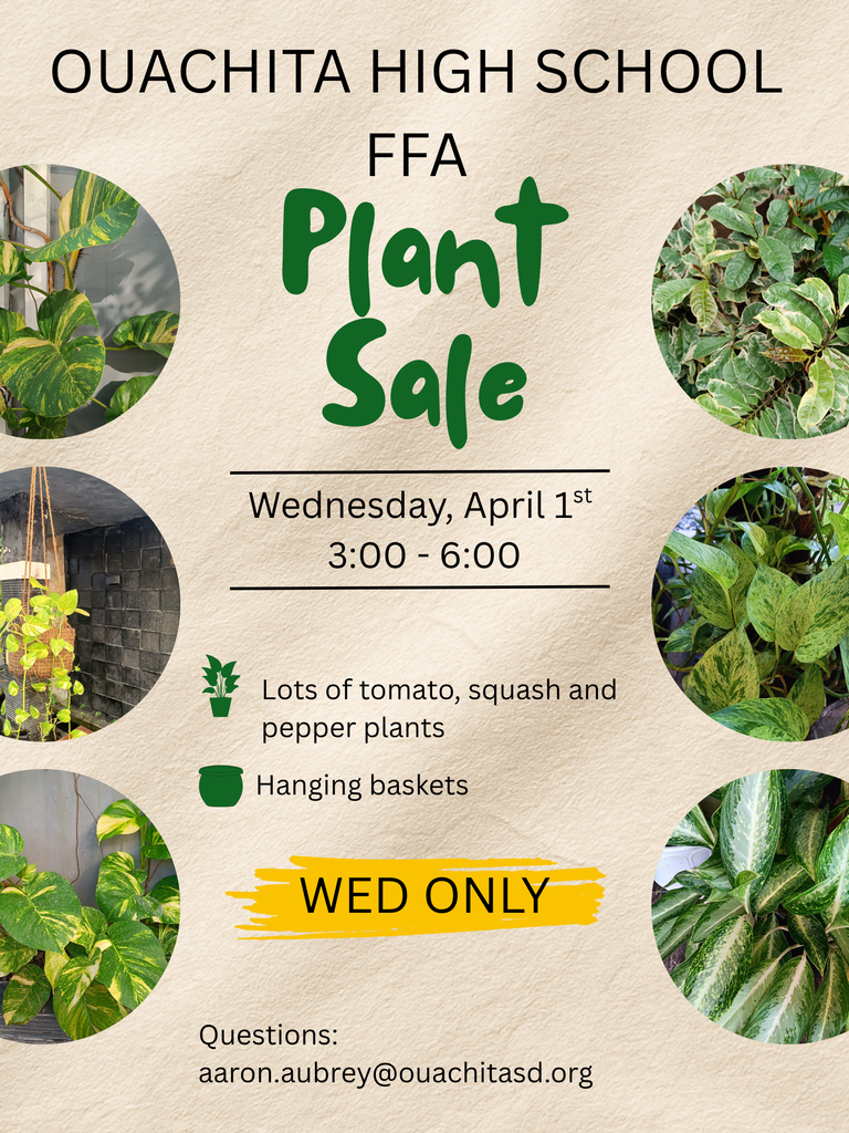 Plant Sale