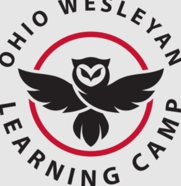 OWL  Camp