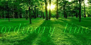 Grassy forest with the words Ordinary Time