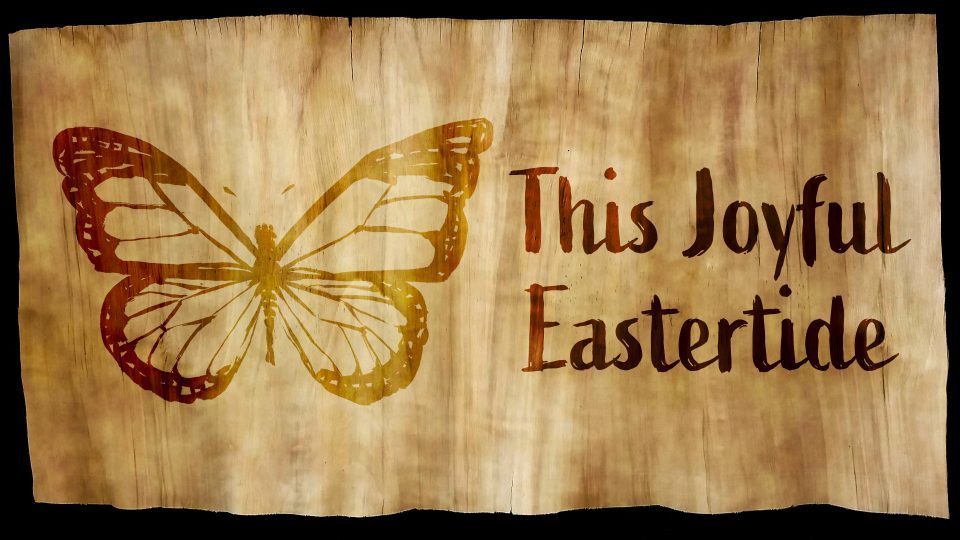 Butterfly on wood with Eastertide