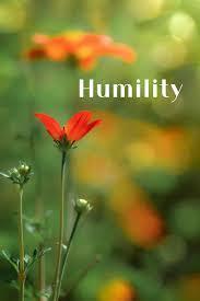  word Humility with wild flowers