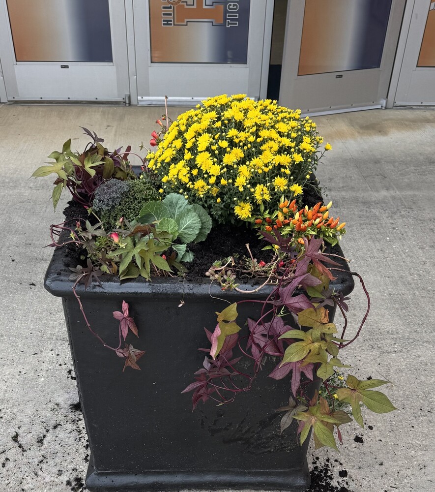 Flower pot