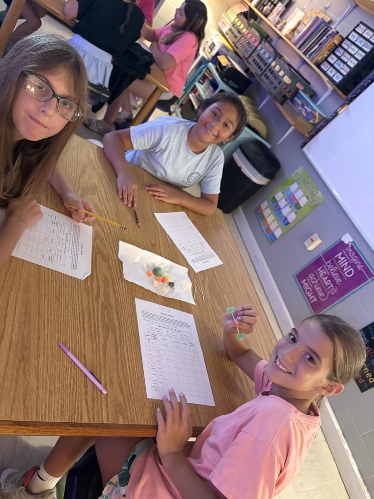 5th grade students building elements, molecules, and compounds with spice drops