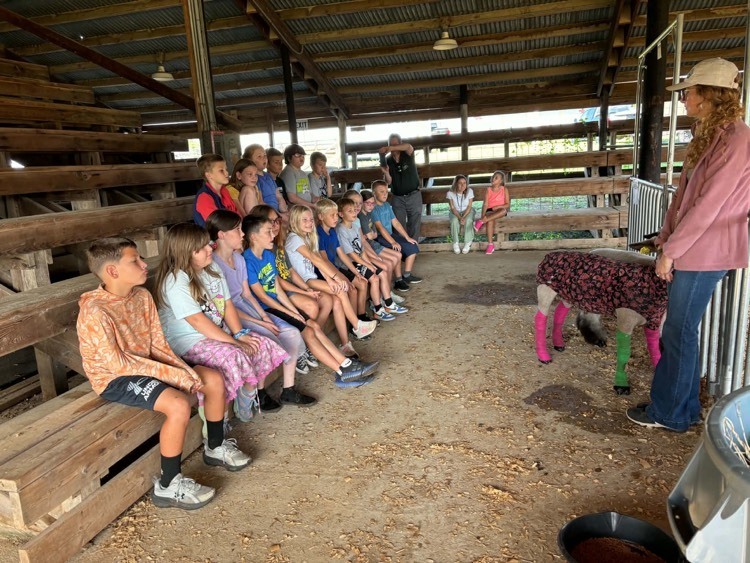 3rd grade students experience 13 hands on stations for Farm Bureau’s Ag Day