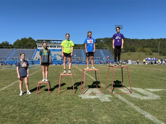 Screenshot of our website.  Click on parents menu then TISA Accountability report.