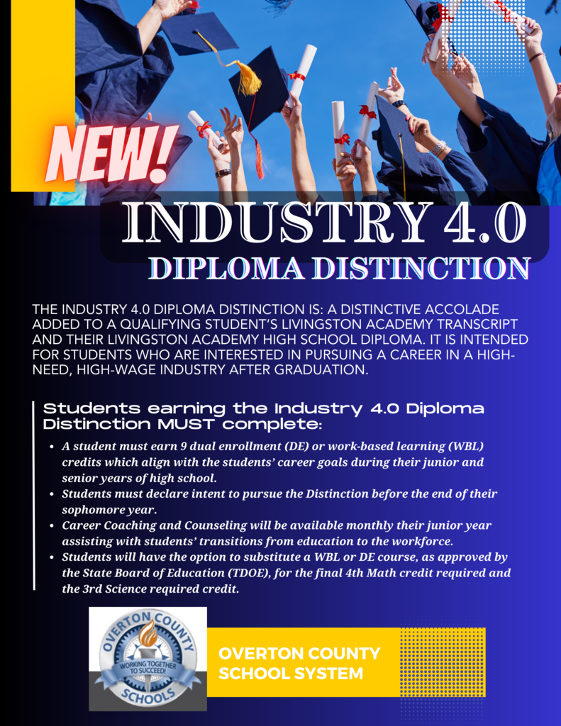 flier