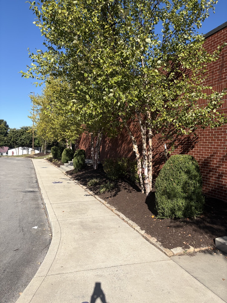 We would like to give a very special THANK YOU to Rick Brawner for generously purchasing the upkeep of our landscaping around the school this year! His generosity and support have made such a beautiful difference at our school. 