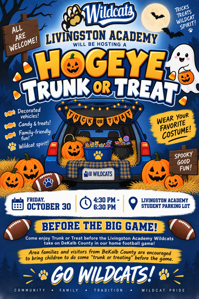 flier