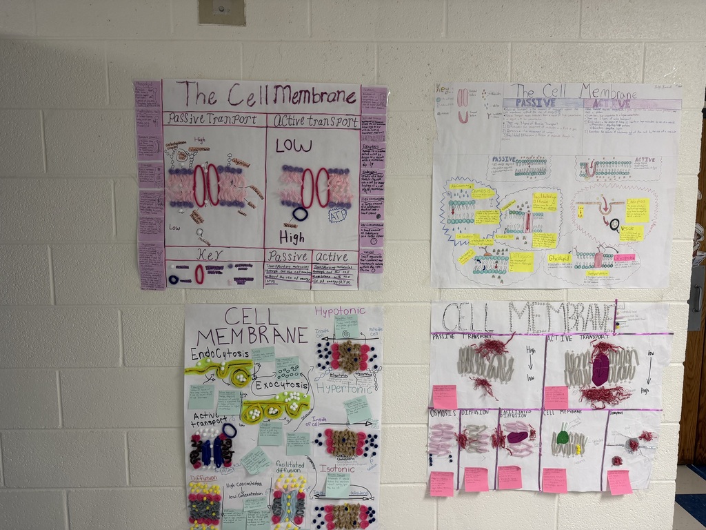 Student work