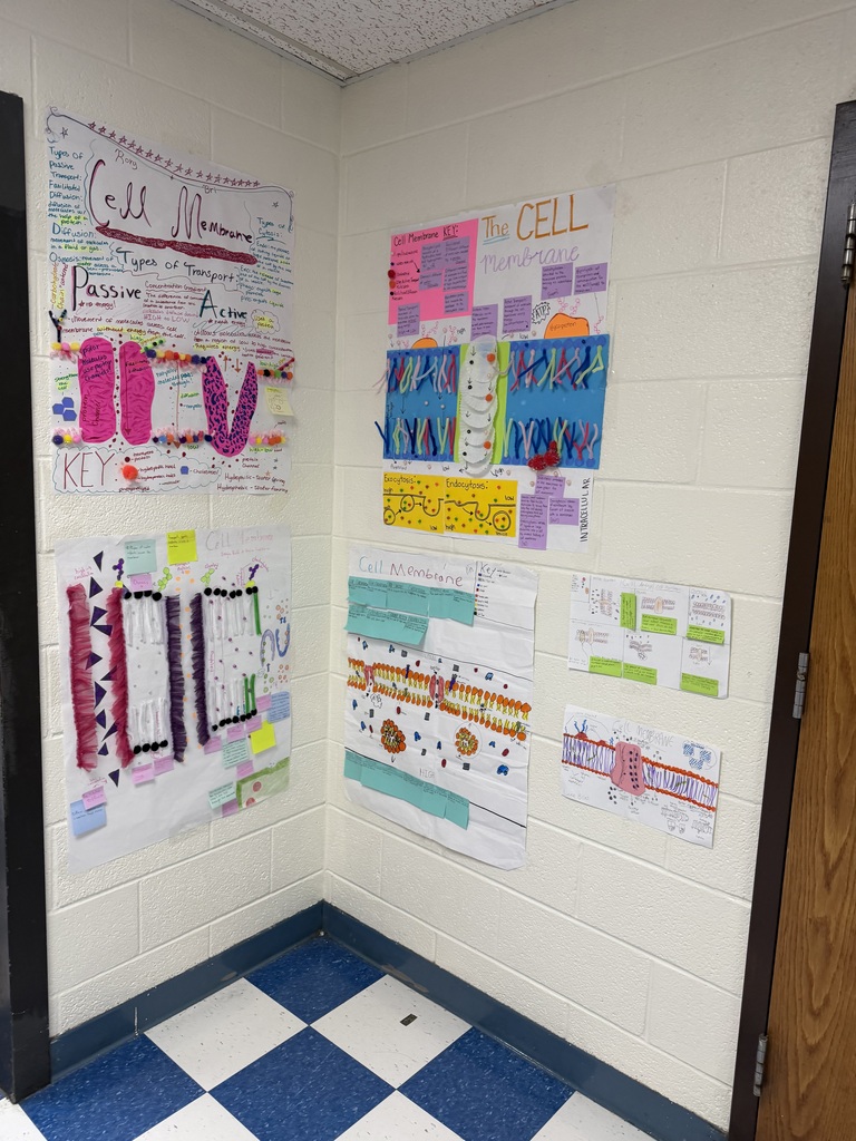 Student work