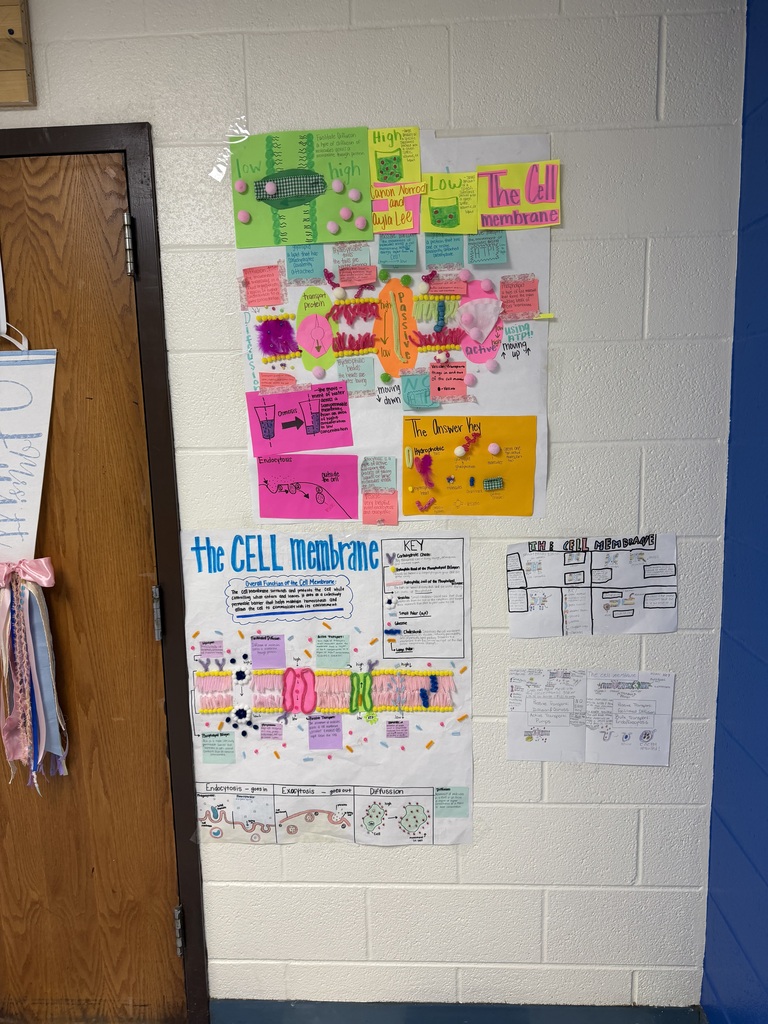 Student work