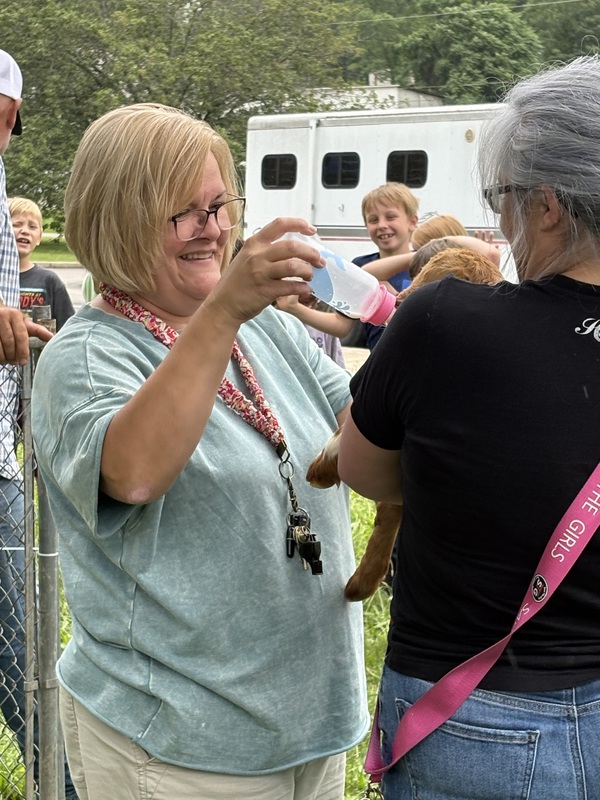 woman feediing a goat