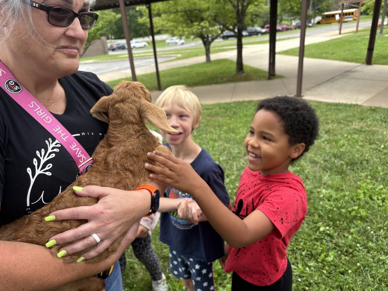 children petting a goat