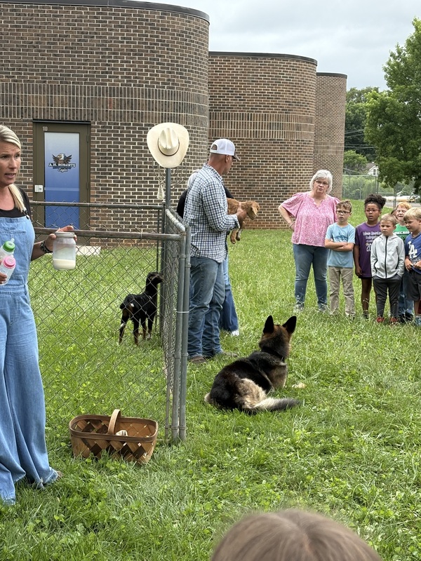 people standing around a dog and goat