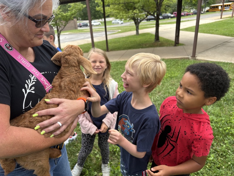 children petting a goat