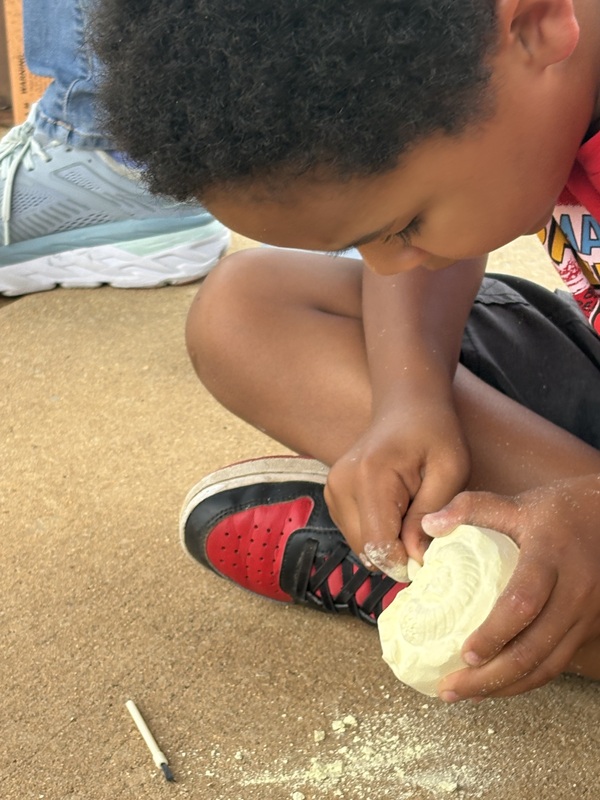 student digging for fossils