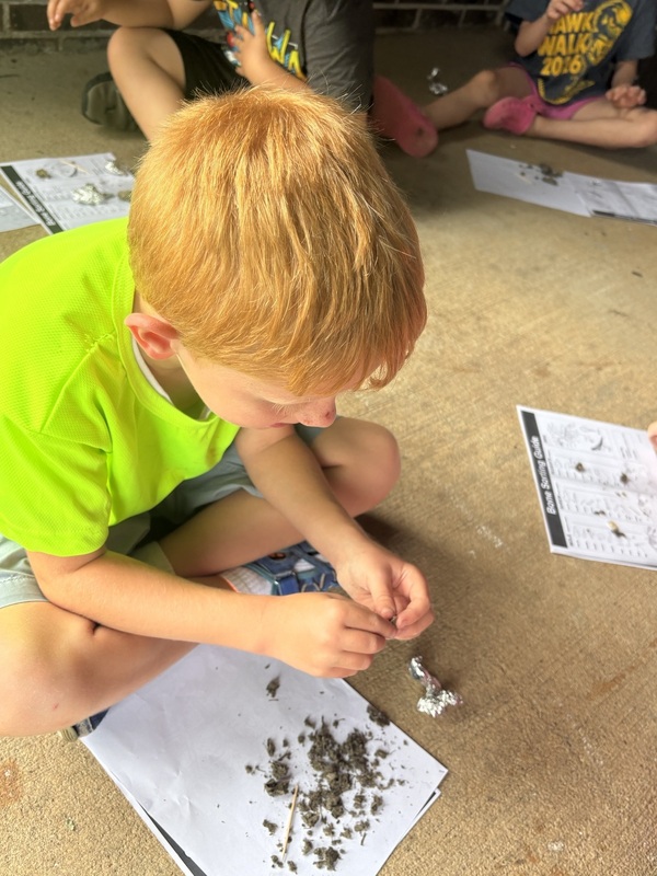 student exploring science activity