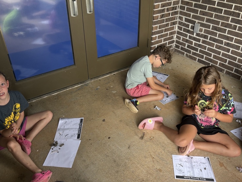 student exploring science activity
