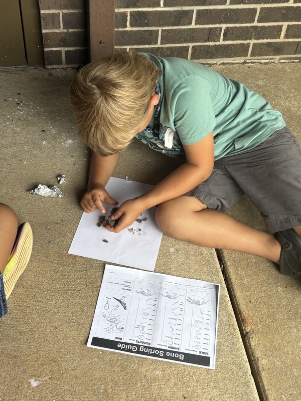 student exploring science activity