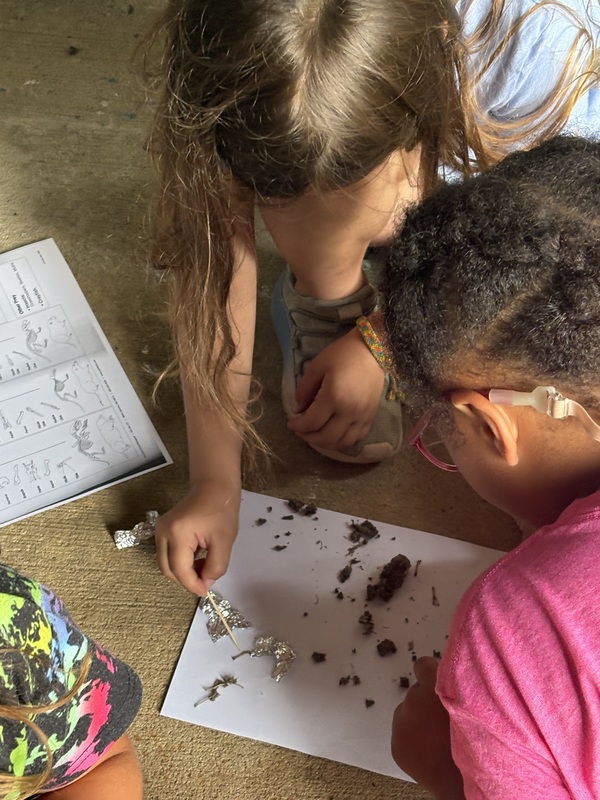 student exploring science activity