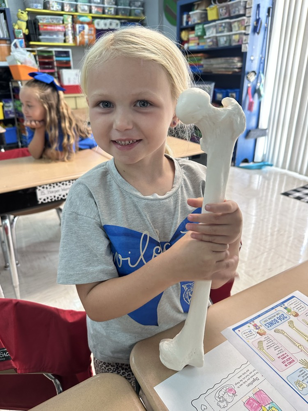exploring bones