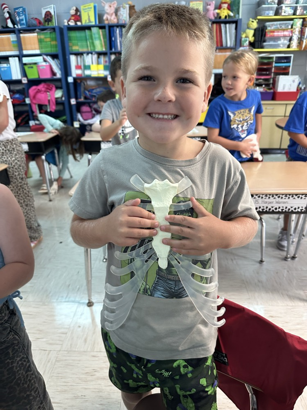 exploring bones