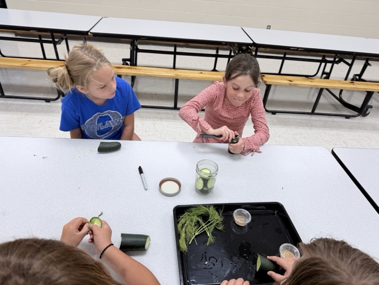 3rd grade students canning pickles