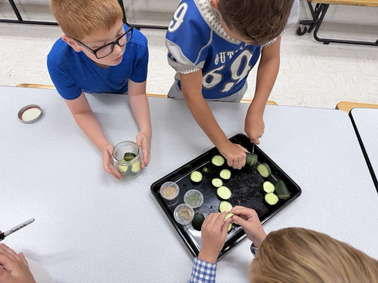 3rd grade students canning pickles