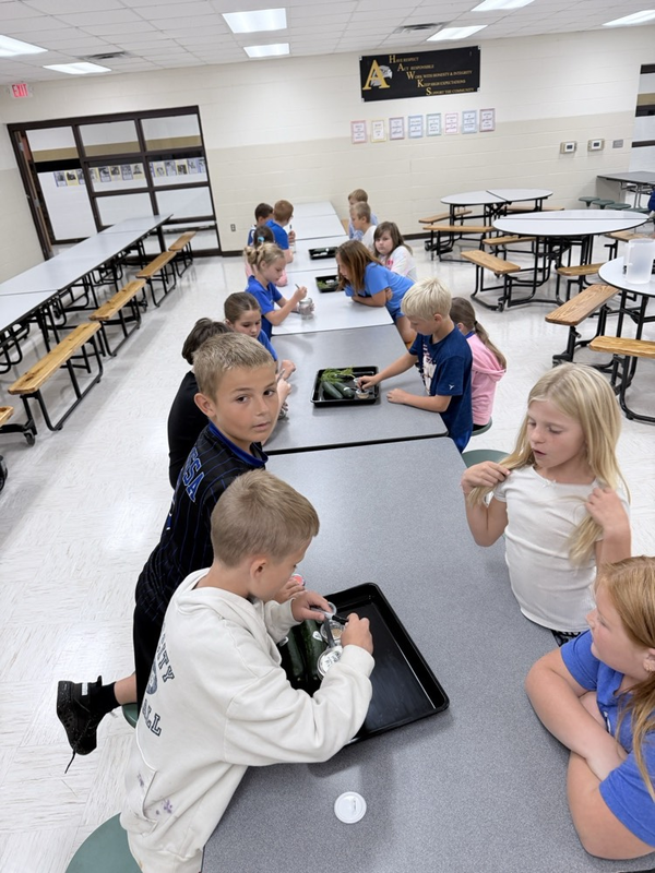 3rd grade students canning pickles