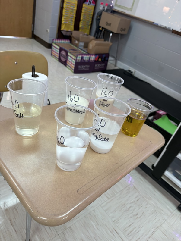 eggs used for science experiment