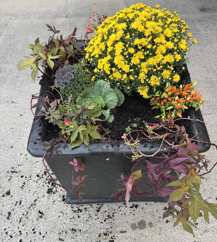 Flower pot