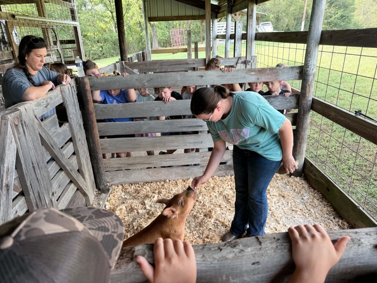 3rd grade students rotate through 13 stations at Farm Bureau’s Ag Day