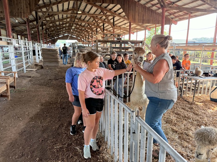 3rd grade students rotate through 13 stations at Farm Bureau’s Ag Day