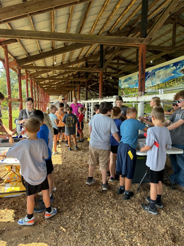 3rd grade students rotate through 13 stations at Farm Bureau’s Ag Day