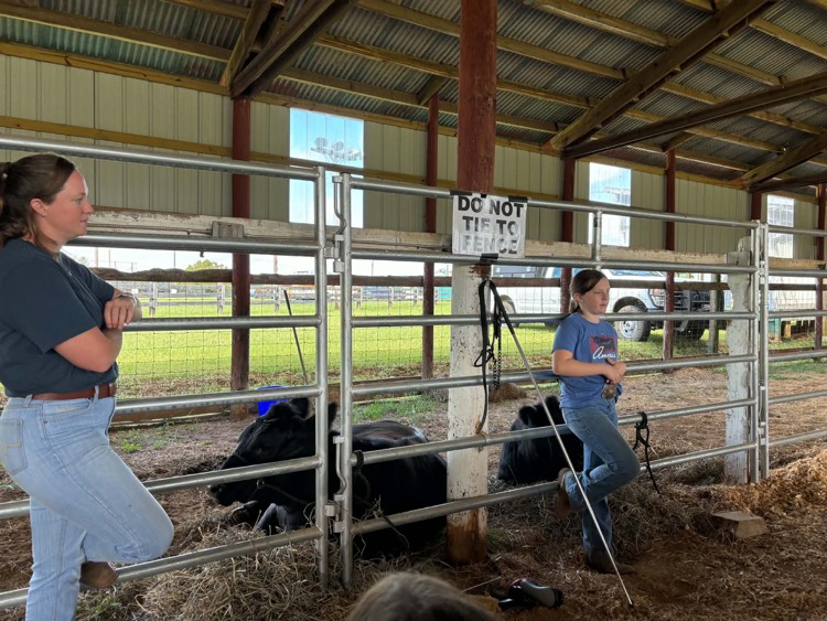 3rd grade students rotate through 13 stations at Farm Bureau’s Ag Day