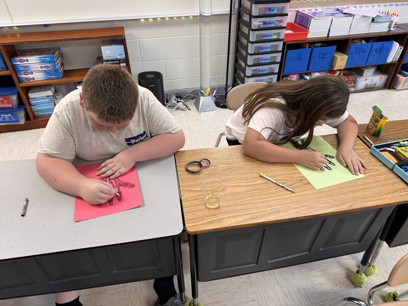 3rd Grade Science Activity