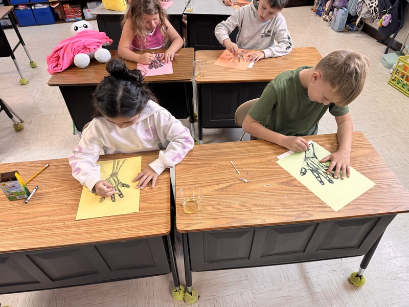 3rd Grade Science Activity