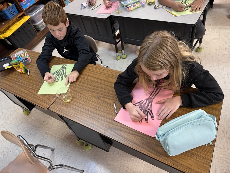 3rd Grade Science Activity