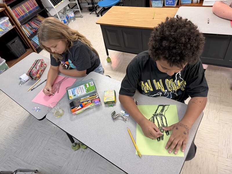 3rd Grade Science Activity